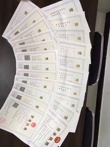 代理记账报税 企业财务管理的高效之选